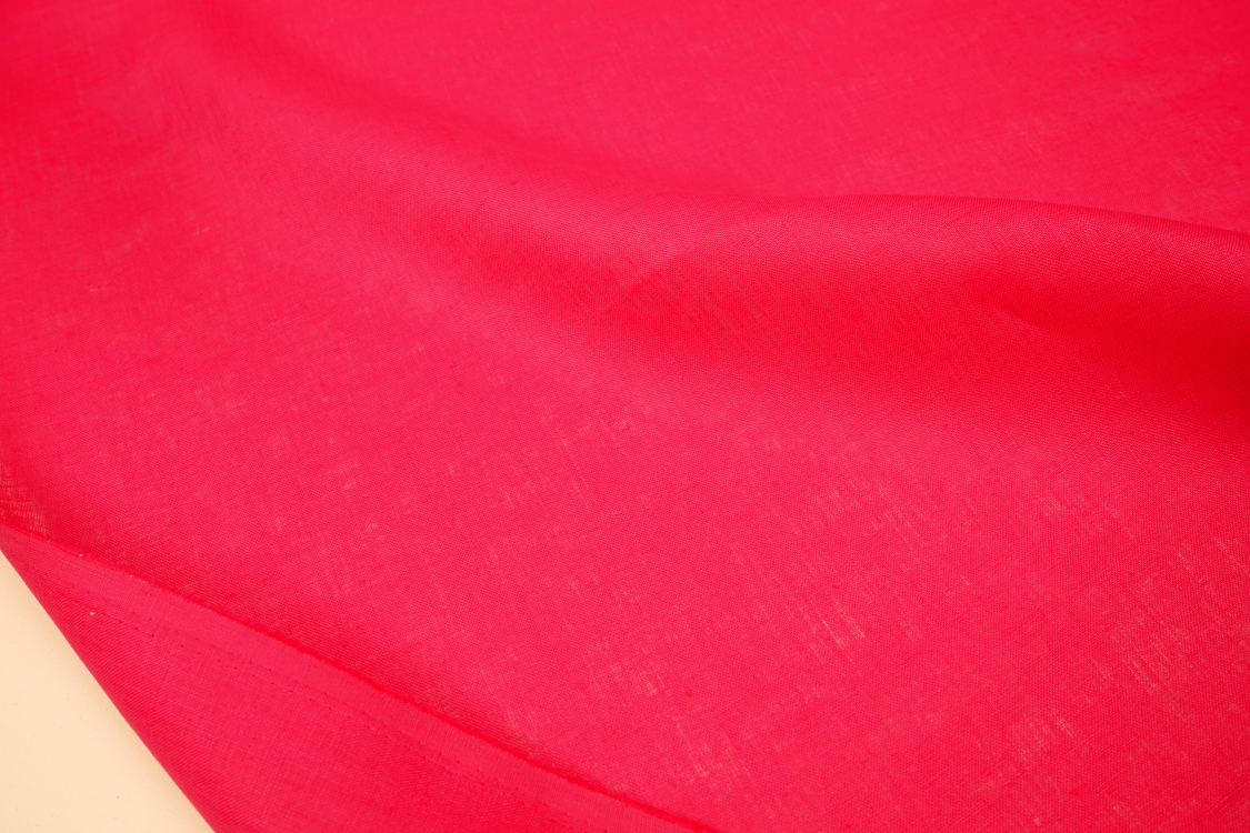 DSC05497 DSC05497