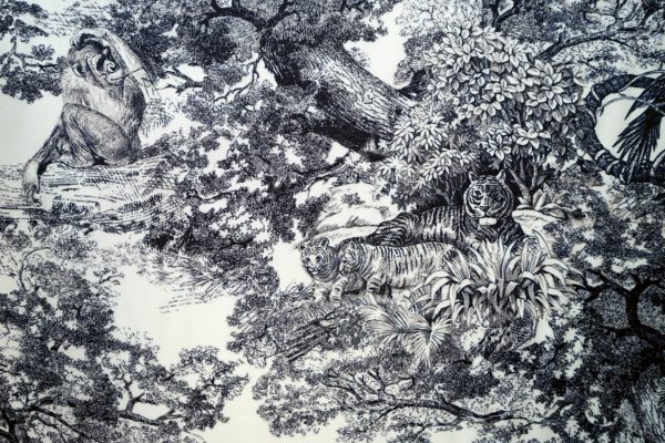 DSC03208