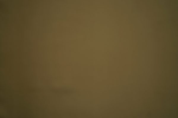 DSC03594