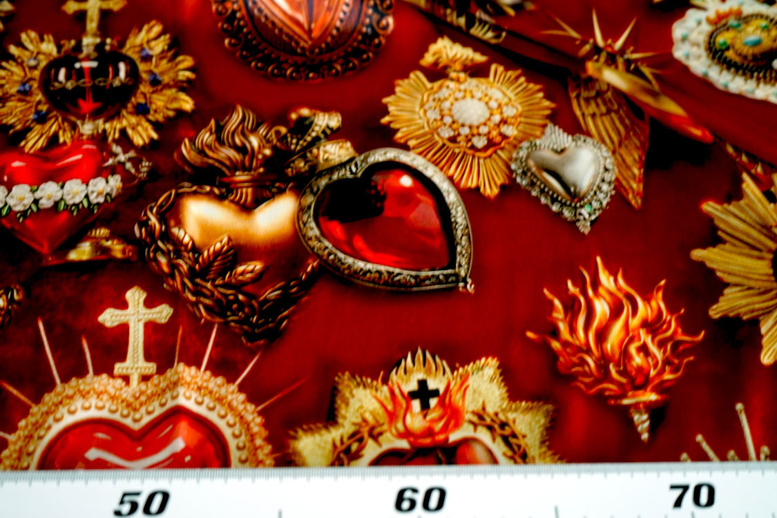 DSC07333 DSC07333