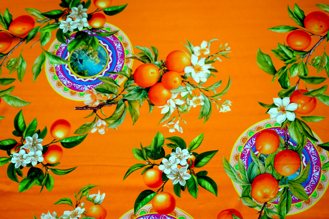 DSC07643 DSC07643