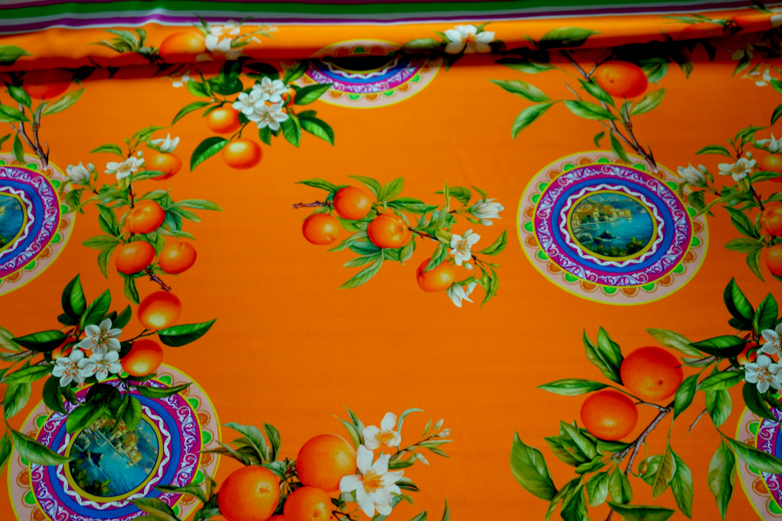 DSC07644 DSC07644