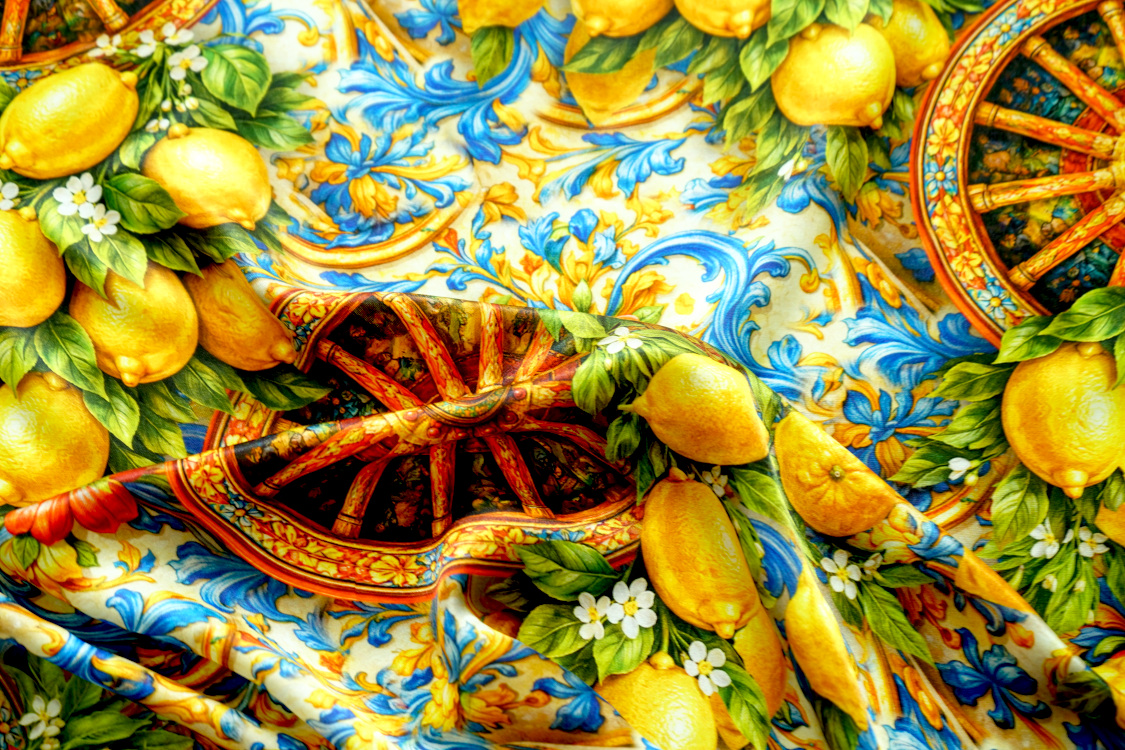 DSC07730 DSC07730